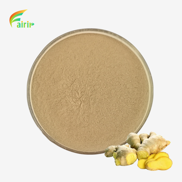 Organic Ginger Extract Powder